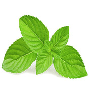 Chemnovatic concentrate