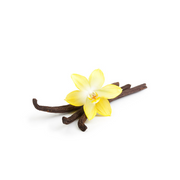 Chemnovatic concentrate